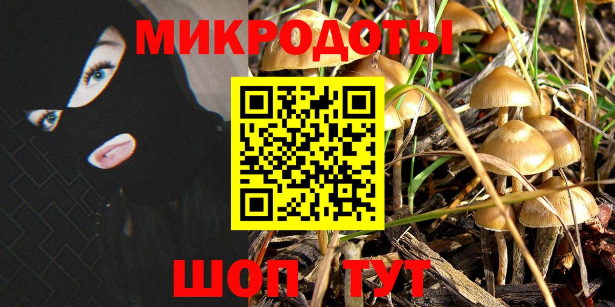 Псилоцибиновые грибы Psilocybine cubensis  Вход с VPN  Псилоцибиновые грибы мицелий  Димитровград 